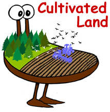 Cultivated land