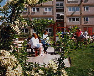 Apple Tree Court Urban Oasis