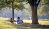 Enjoying the park