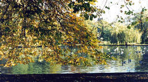 Birmingham's Handsworth Park