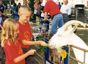 St James City Farm, Gloucester