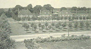 Welwyn Garden City - orchards and houses